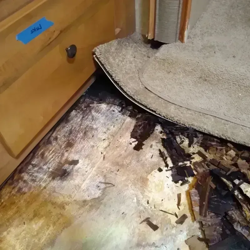 Wood Floor Water Damage in Pagedale, MO